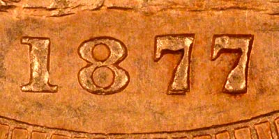 Close Up of Date